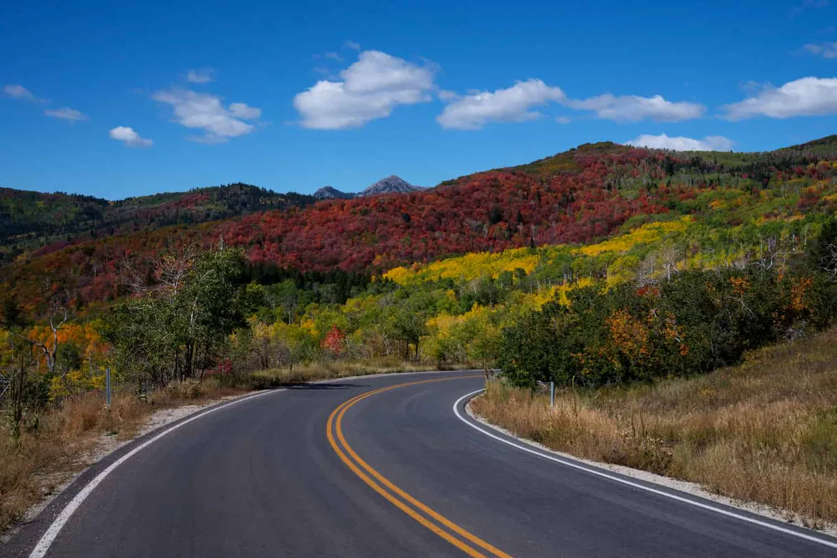 Color Might Affect Perception on the Road