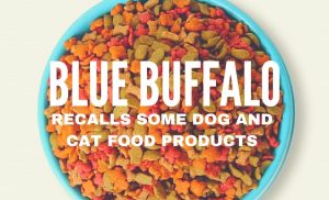 Blue Buffalo Recalls Pet Food Products