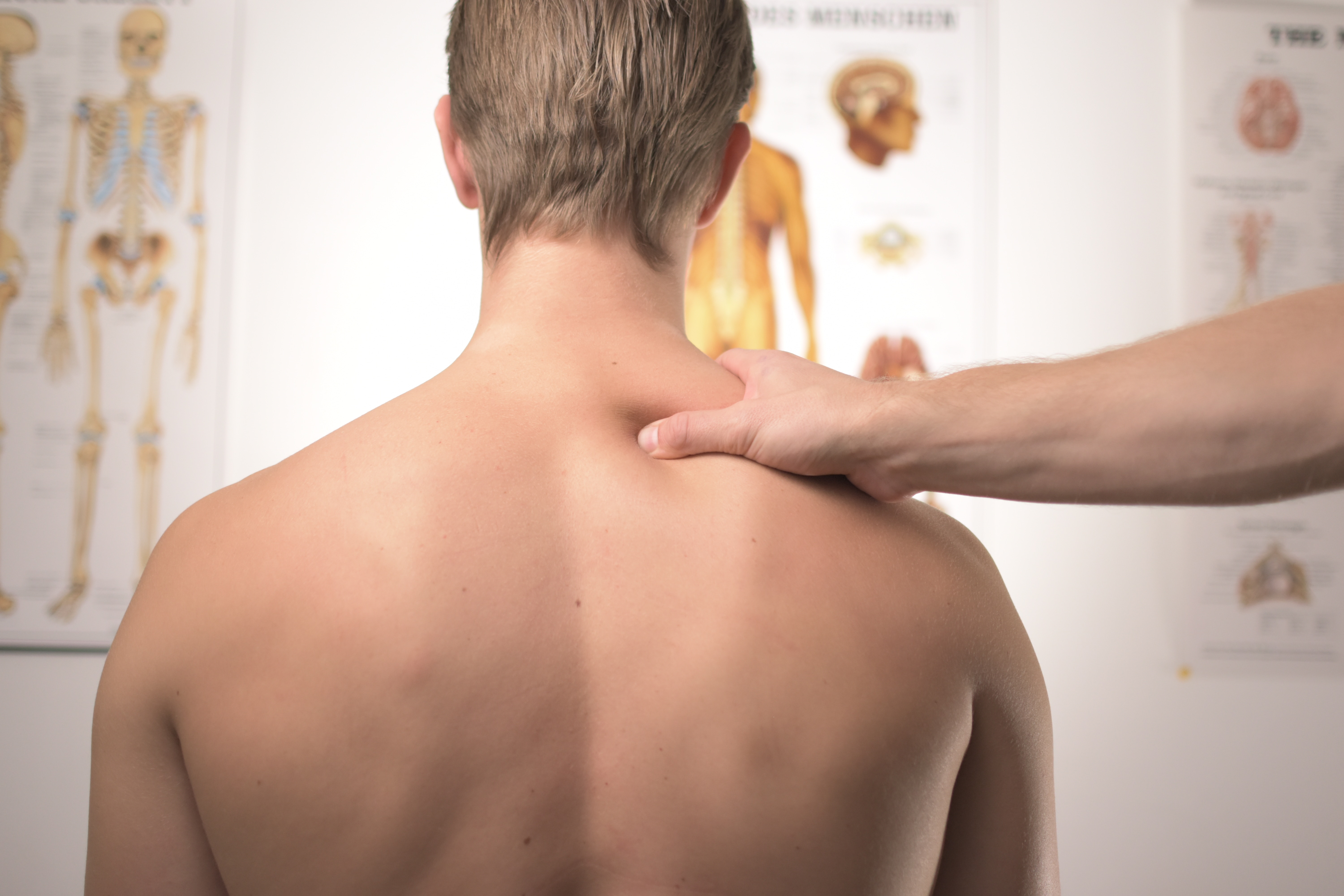 Physical Therapist
