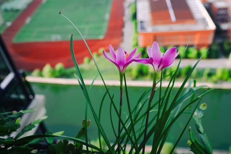 Funeral home negligence lawsuit