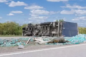 truck accidents in south florida