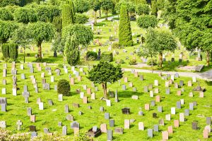 Wrong Burial Plot and Grave-Site Errors in Fort Lauderdale
